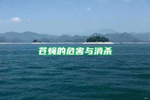 蒼蠅的危害與消殺