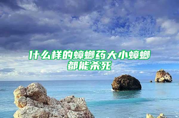 什么樣的蟑螂藥大小蟑螂都能殺死