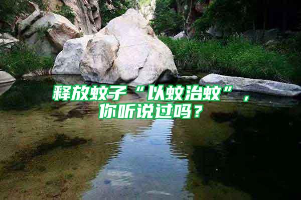 釋放蚊子“以蚊治蚊”，你聽說過嗎？