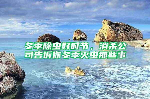 冬季除蟲好時節，消殺公司告訴你冬季滅蟲那些事
