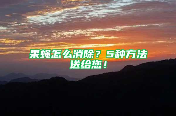 果蠅怎么消除？5種方法送給您！