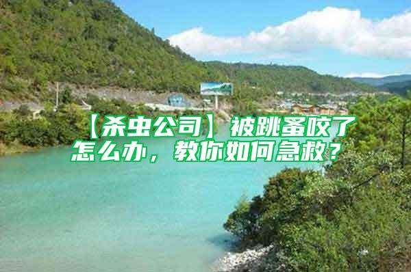 【殺蟲公司】被跳蚤咬了怎么辦，教你如何急救？