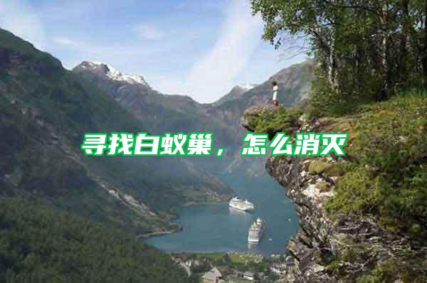 尋找白蟻巢，怎么消滅