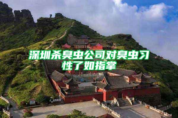 深圳殺臭蟲公司對臭蟲習性了如指掌