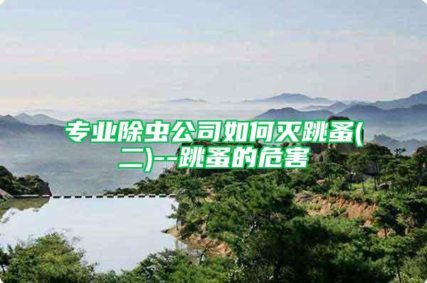 專業除蟲公司如何滅跳蚤(二)--跳蚤的危害