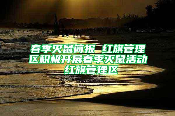 春季滅鼠簡報 紅旗管理區積極開展春季滅鼠活動 紅旗管理區