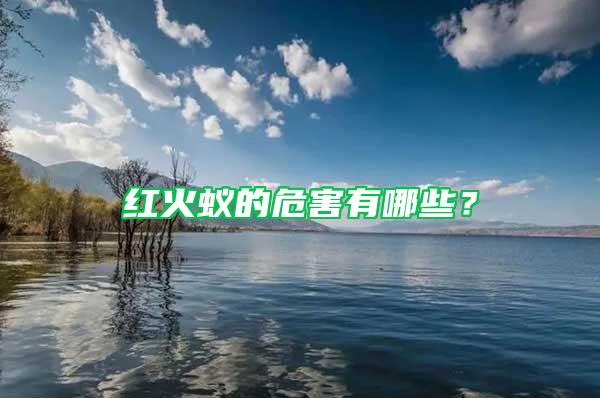 紅火蟻的危害有哪些？