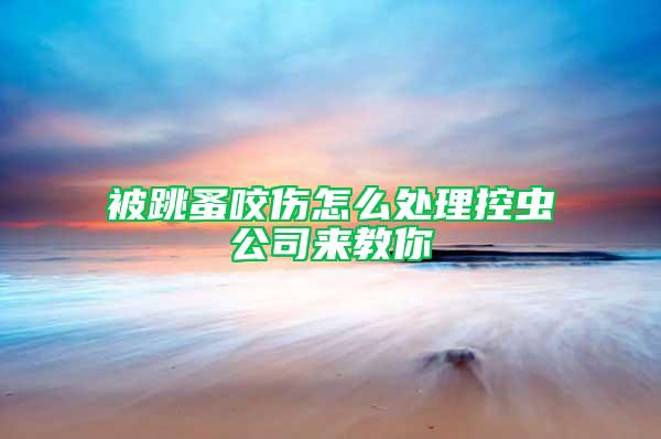 被跳蚤咬傷怎么處理控蟲公司來教你