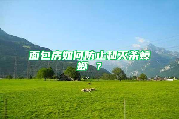 面包房如何防止和滅殺蟑螂 ？