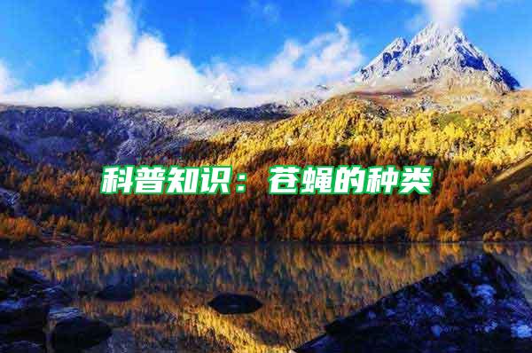 科普知識：蒼蠅的種類