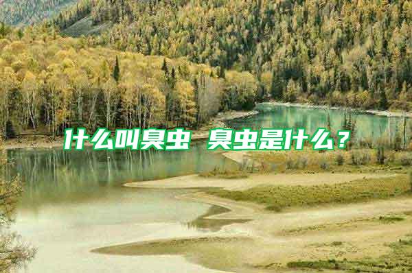 什么叫臭蟲 臭蟲是什么？