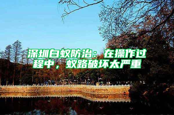 深圳白蟻防治：在操作過程中，蟻路破壞太嚴重
