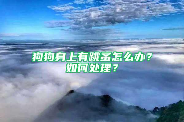 狗狗身上有跳蚤怎么辦？如何處理？