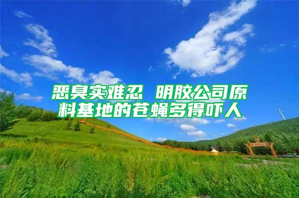 惡臭實難忍 明膠公司原料基地的蒼蠅多得嚇人