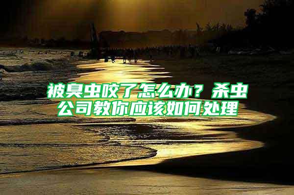 被臭蟲咬了怎么辦？殺蟲公司教你應該如何處理