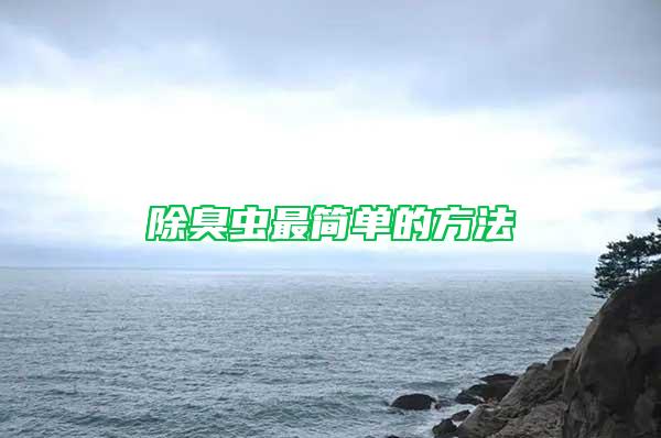 除臭蟲最簡單的方法