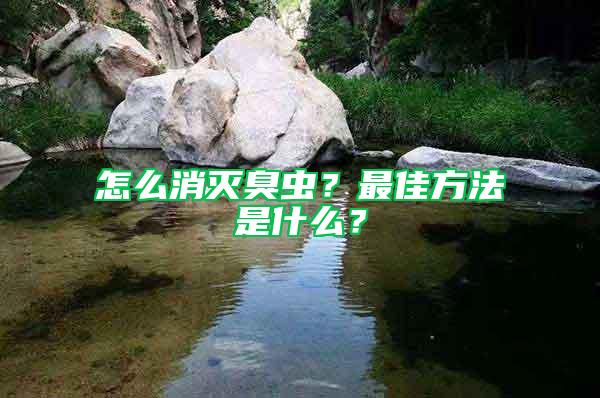 怎么消滅臭蟲？最佳方法是什么？
