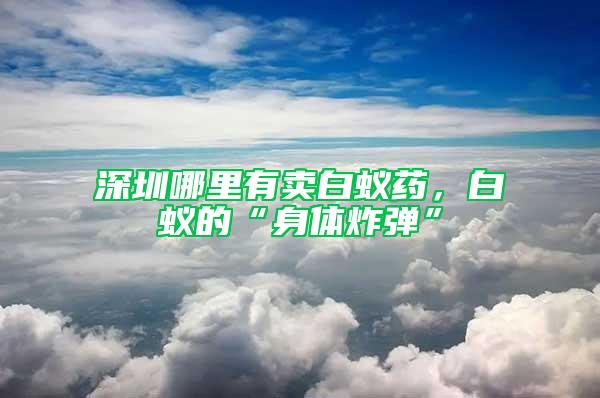 深圳哪里有賣白蟻藥，白蟻的“身體炸彈”