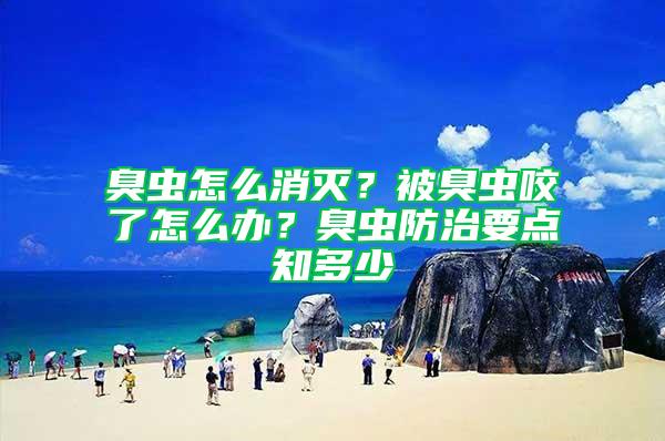 臭蟲怎么消滅？被臭蟲咬了怎么辦？臭蟲防治要點知多少