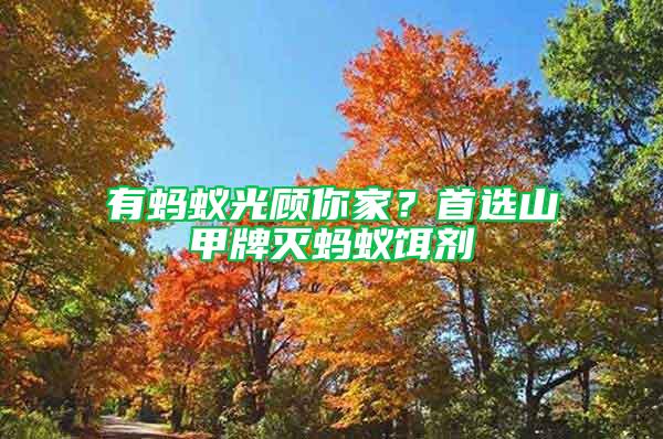 有螞蟻光顧你家？首選山甲牌滅螞蟻餌劑