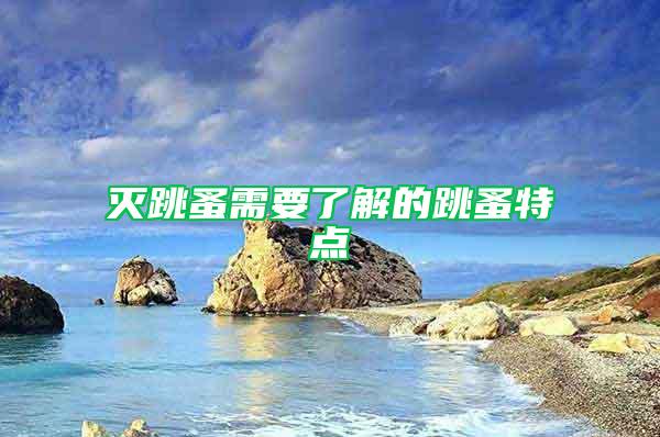滅跳蚤需要了解的跳蚤特點