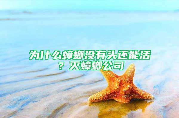 為什么蟑螂沒有頭還能活？滅蟑螂公司