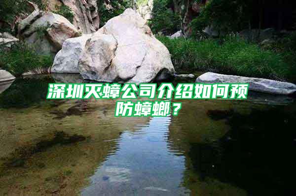 深圳滅蟑公司介紹如何預防蟑螂？