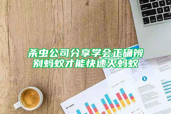 殺蟲公司分享學會正確辨別螞蟻才能快速滅螞蟻