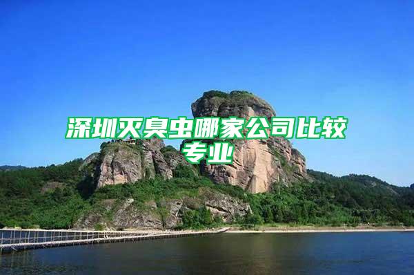 深圳滅臭蟲哪家公司比較專業