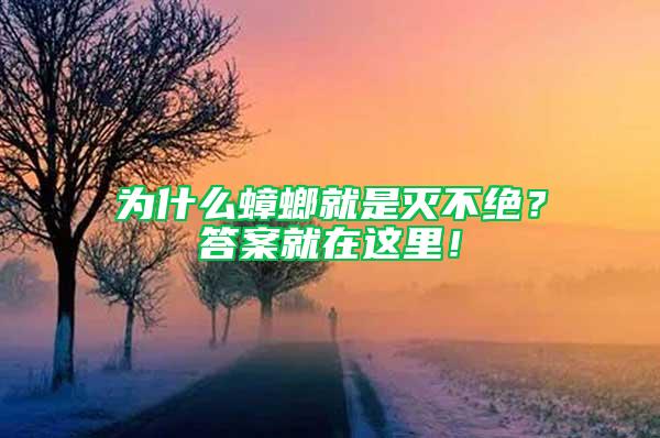 為什么蟑螂就是滅不絕？答案就在這里！
