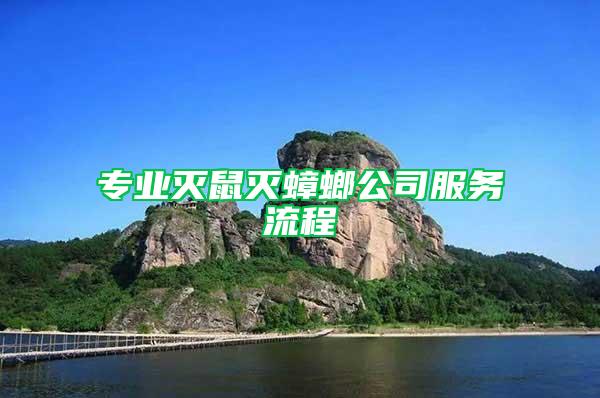 專業滅鼠滅蟑螂公司服務流程