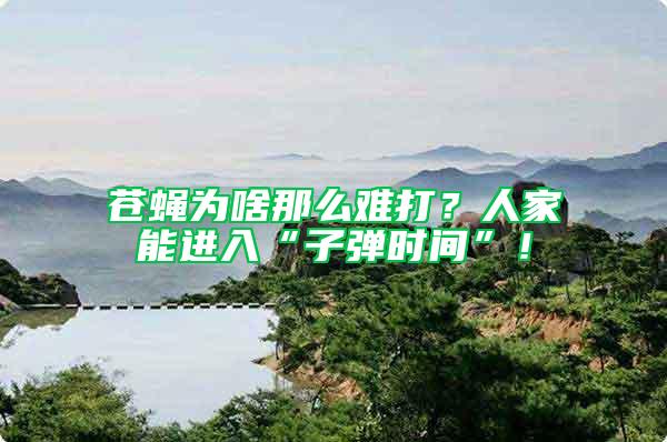 蒼蠅為啥那么難打？人家能進入“子彈時間”！