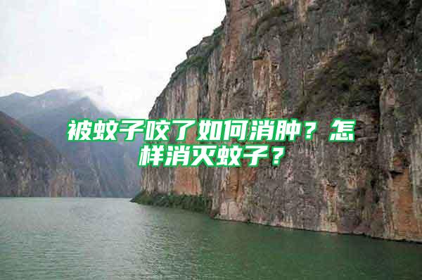 被蚊子咬了如何消腫？怎樣消滅蚊子？