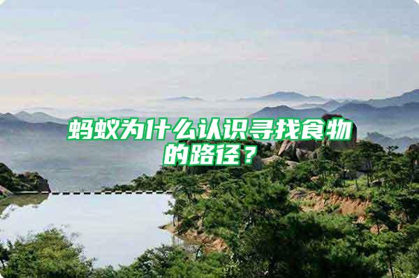 螞蟻為什么認識尋找食物的路徑？