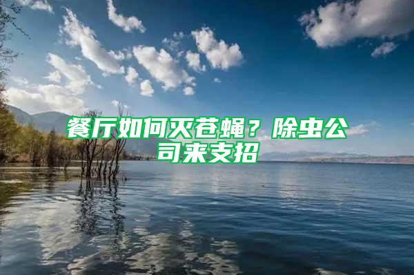 餐廳如何滅蒼蠅？除蟲公司來支招