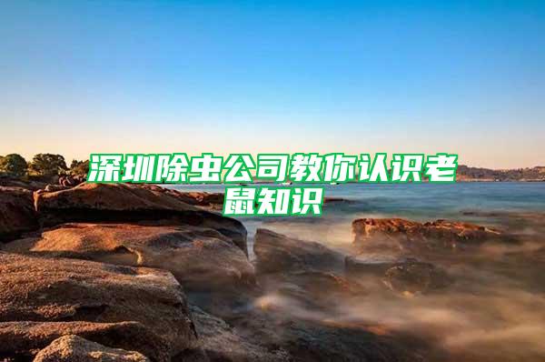 深圳除蟲(chóng)公司教你認(rèn)識(shí)老鼠知識(shí)