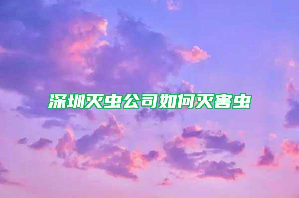 深圳滅蟲公司如何滅害蟲