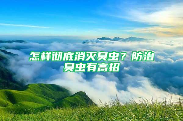 怎樣徹底消滅臭蟲？防治臭蟲有高招