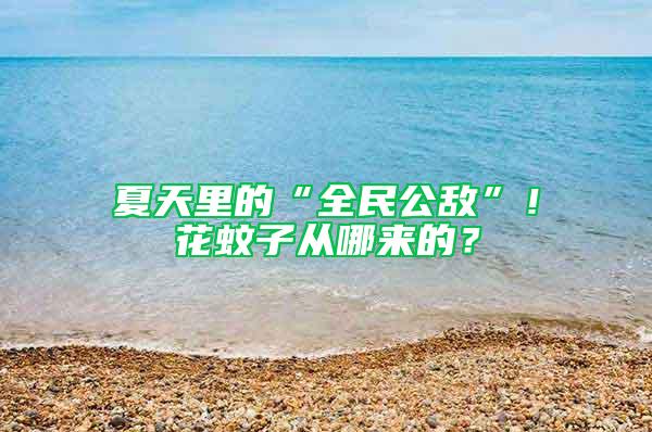 夏天里的“全民公敵”！花蚊子從哪來的？