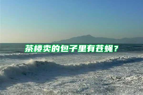 茶樓賣的包子里有蒼蠅？