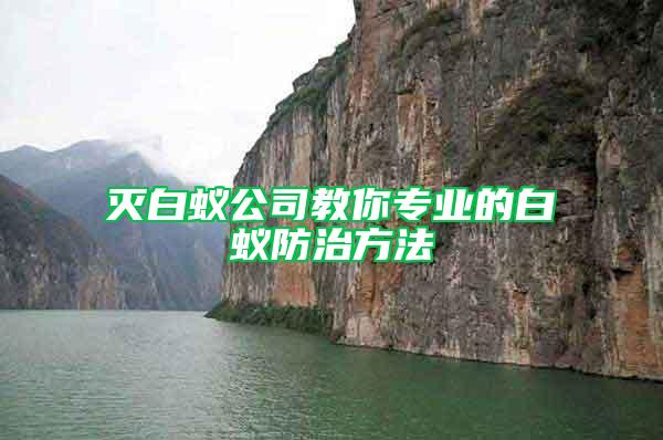 滅白蟻公司教你專業的白蟻防治方法