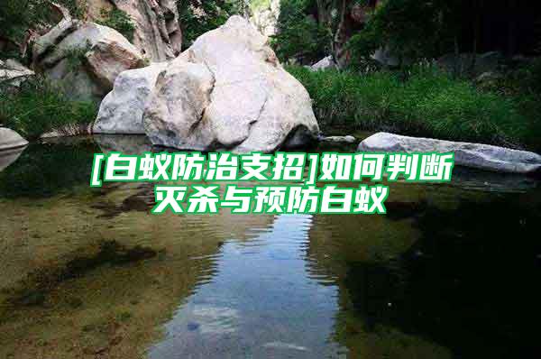 [白蟻防治支招]如何判斷滅殺與預防白蟻
