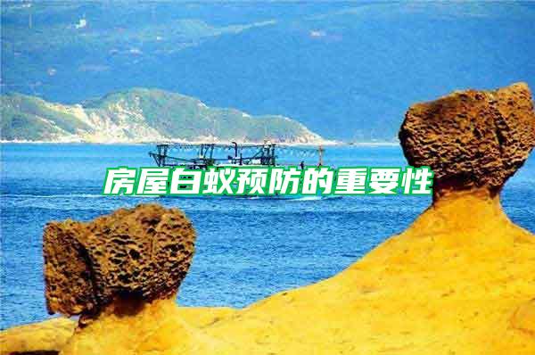 房屋白蟻預防的重要性