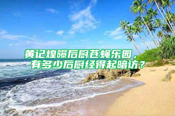 黃記煌曝后廚蒼蠅樂園， 有多少后廚經得起暗訪？