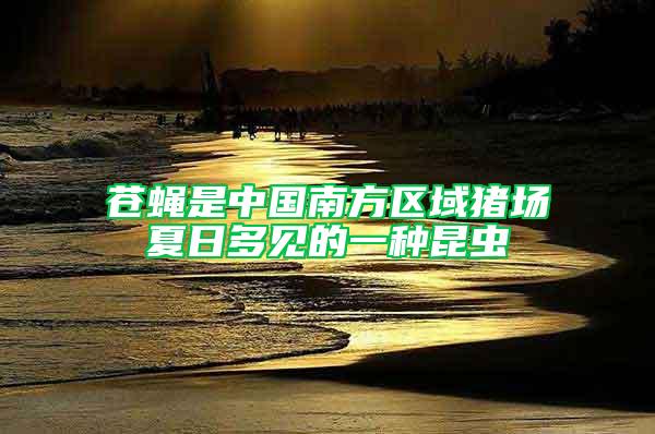蒼蠅是中國南方區域豬場夏日多見的一種昆蟲