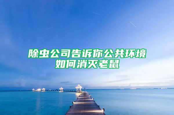 除蟲公司告訴你公共環境如何消滅老鼠