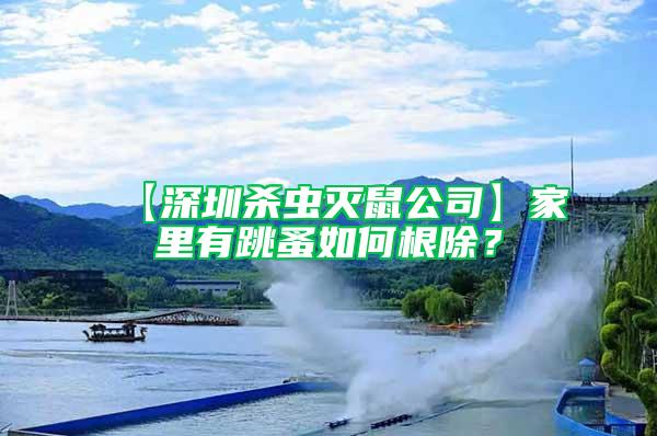 【深圳殺蟲滅鼠公司】家里有跳蚤如何根除？
