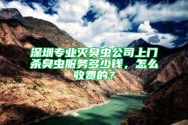深圳專業滅臭蟲公司上門殺臭蟲服務多少錢，怎么收費的？