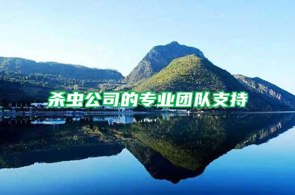 殺蟲公司的專業團隊支持