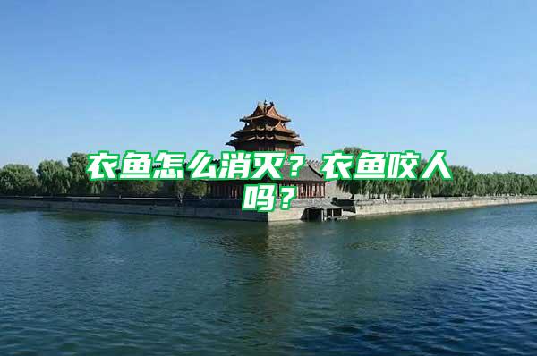 衣魚怎么消滅？衣魚咬人嗎？